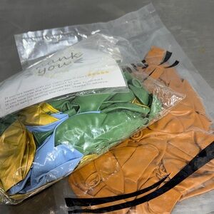 Colorful Balloon Set